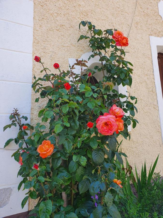 Stoffenhof Apartment Oberdrauburg Ngoại thất bức ảnh